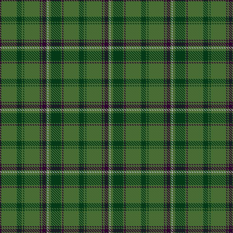 Tartan image: Beechgrove Garden, The. Click on this image to see a more detailed version.