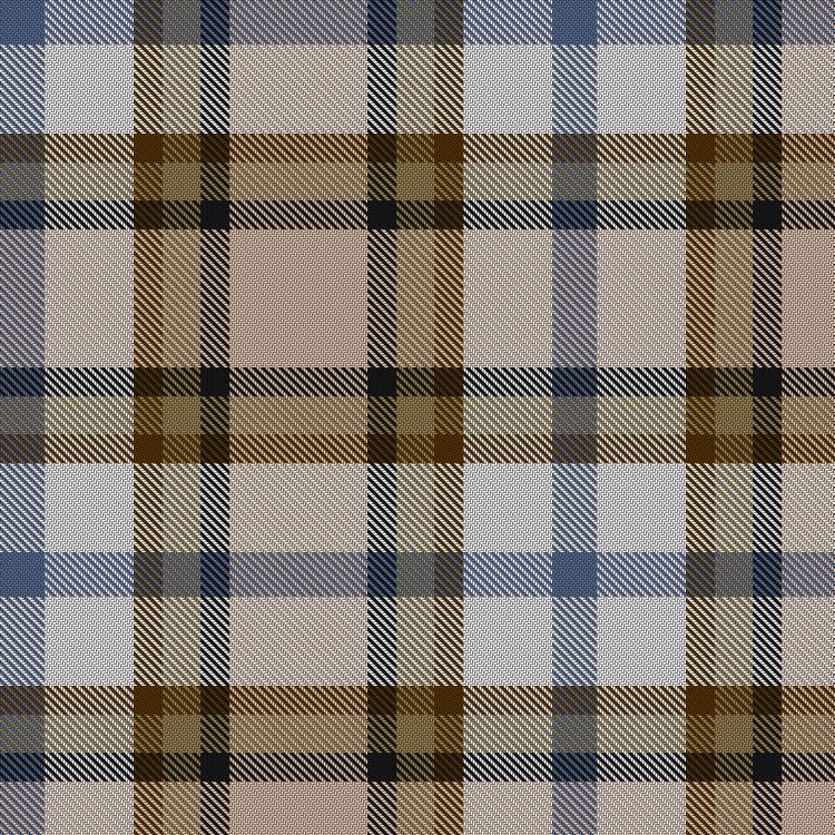 Tartan image: MacGregor-Ryan (Personal). Click on this image to see a more detailed version.