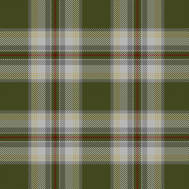 Tartan image: McAleavy (2014). Click on this image to see a more detailed version.