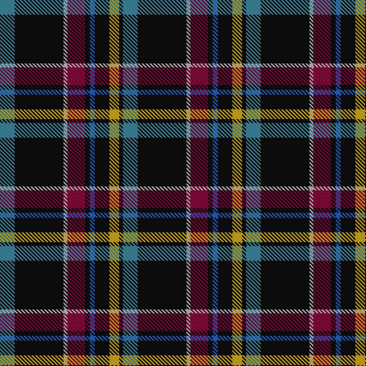 Tartan image: Care Experienced. Click on this image to see a more detailed version.