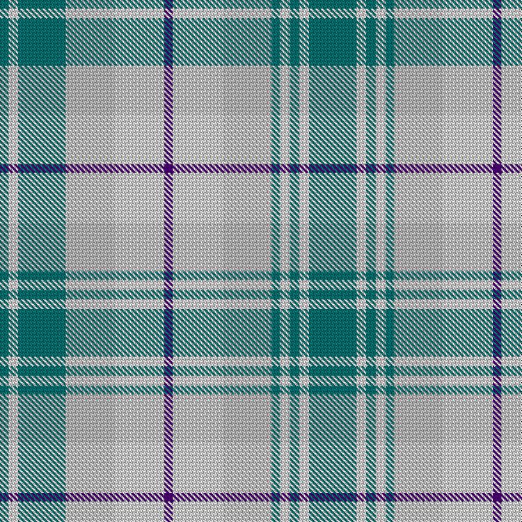 Tartan image: Poulter Millicent. Click on this image to see a more detailed version.