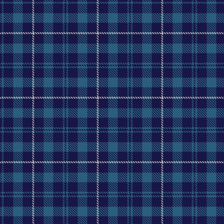 Tartan image: Murray Taylor. Click on this image to see a more detailed version.