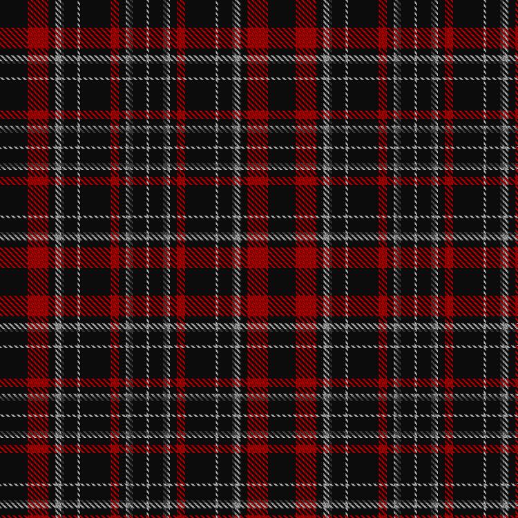 Tartan image: Académie Scrimicie. Click on this image to see a more detailed version.