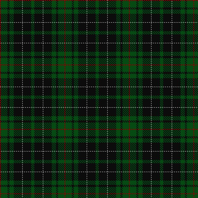 Tartan image: MacAulay Hunting. Click on this image to see a more detailed version.