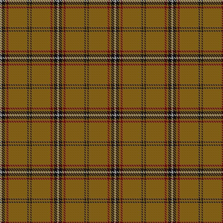 Tartan image: Bro-Dreger. Click on this image to see a more detailed version.