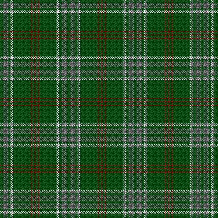 Tartan image: Welsh Assembly. Click on this image to see a more detailed version.
