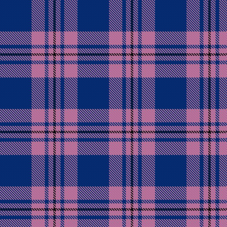 Tartan image: Debbie Munro  Memorial. Click on this image to see a more detailed version.