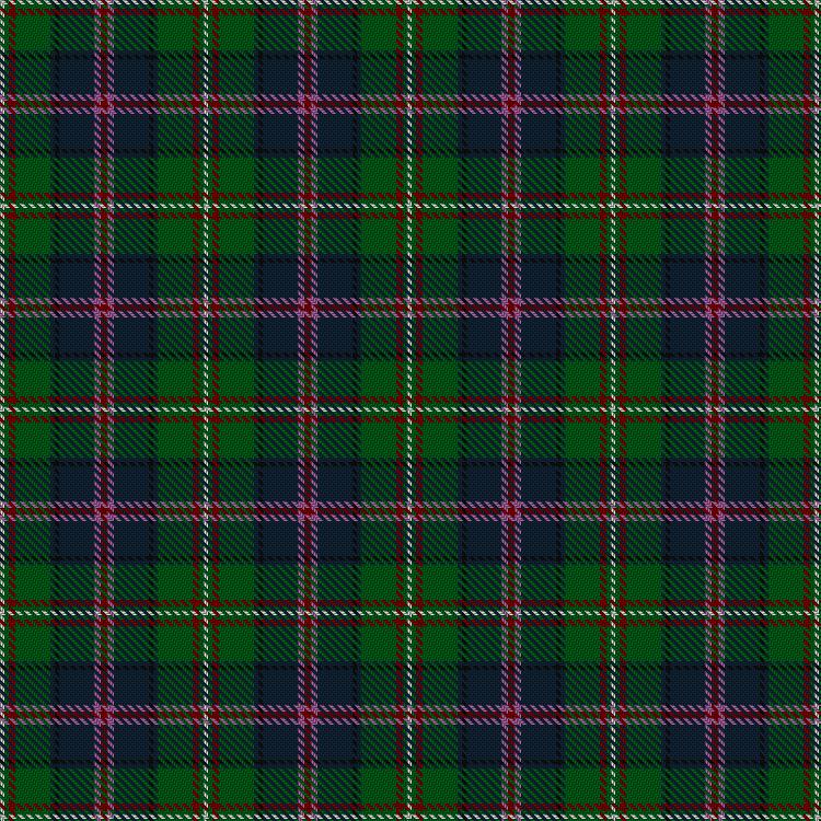 Tartan image: Chinzei Keiai School. Click on this image to see a more detailed version.