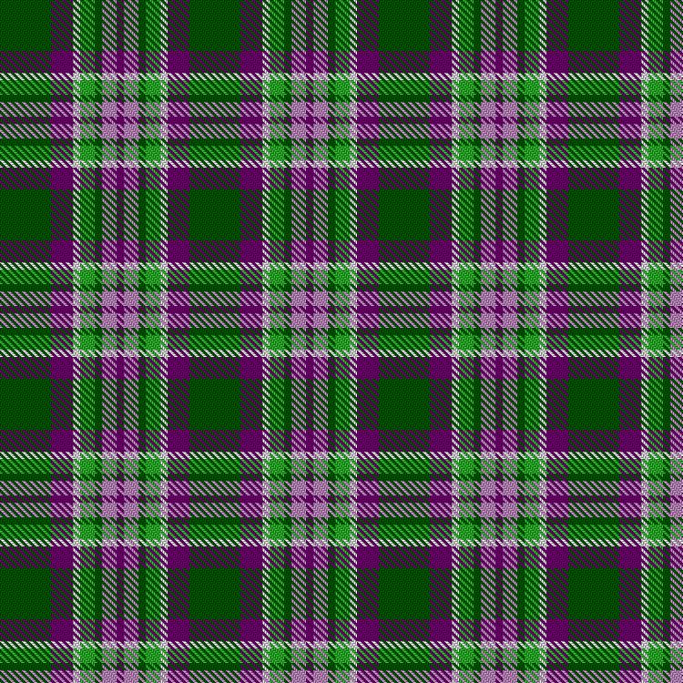 Tartan image: Lindley-Highfield of Ballumbie Castle. Click on this image to see a more detailed version.
