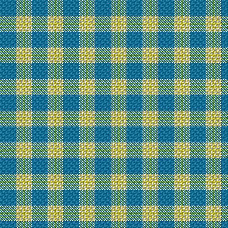 Tartan image: Argentine Flag. Click on this image to see a more detailed version.
