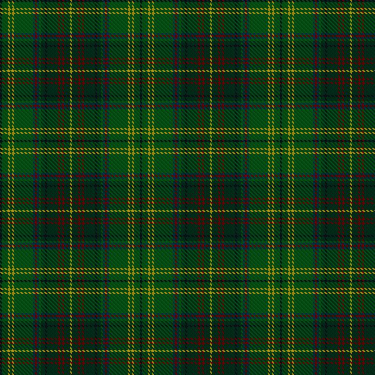 Tartan image: Harmon Hunting. Click on this image to see a more detailed version.