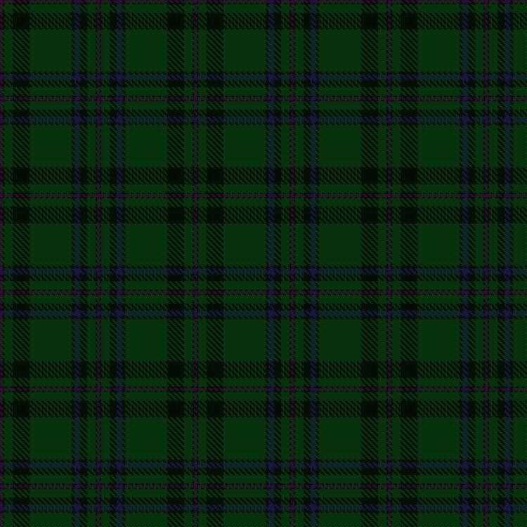 Tartan image: Letham Hunting. Click on this image to see a more detailed version.