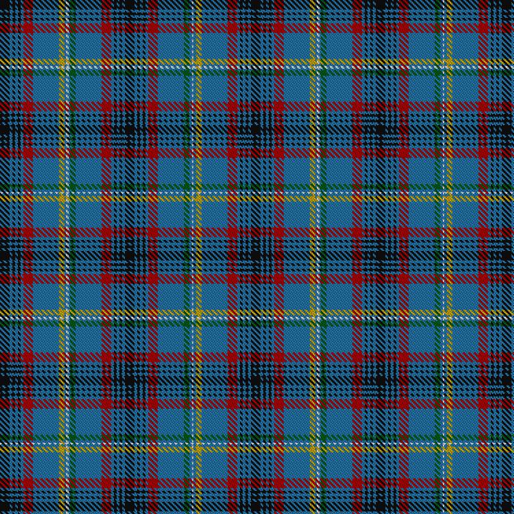 Tartan image: Emergency Medical Services Memorial Tartan. Click on this image to see a more detailed version.