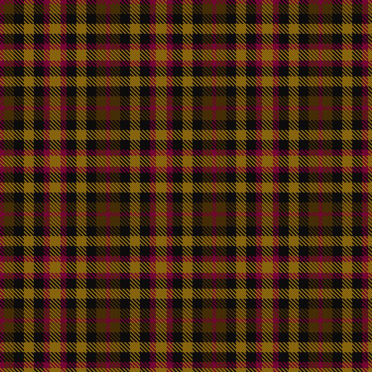 Tartan image: Duffus Hose, Lord. Click on this image to see a more detailed version.