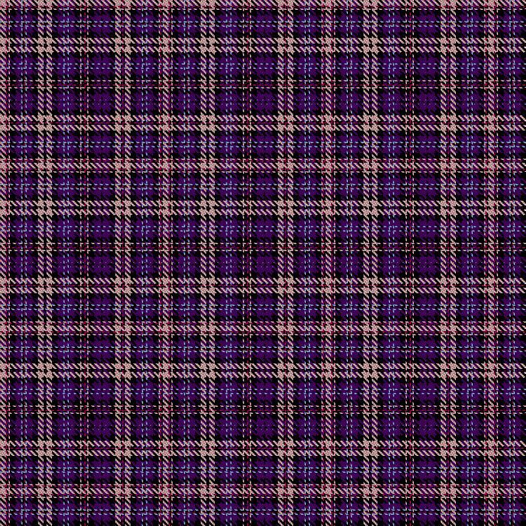 Tartan image: McLosek (Personal). Click on this image to see a more detailed version.