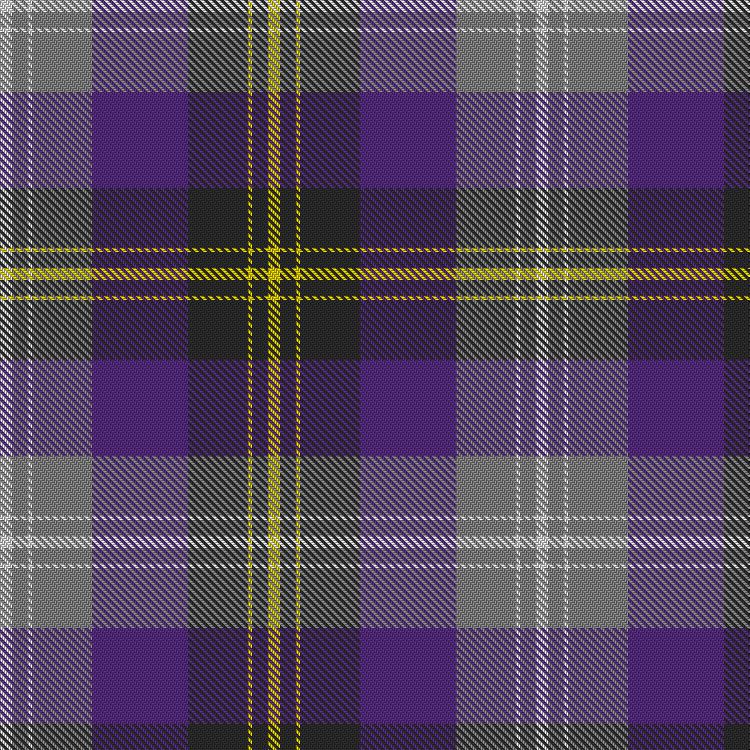 Tartan image: Sean F Forrester (Personal). Click on this image to see a more detailed version.