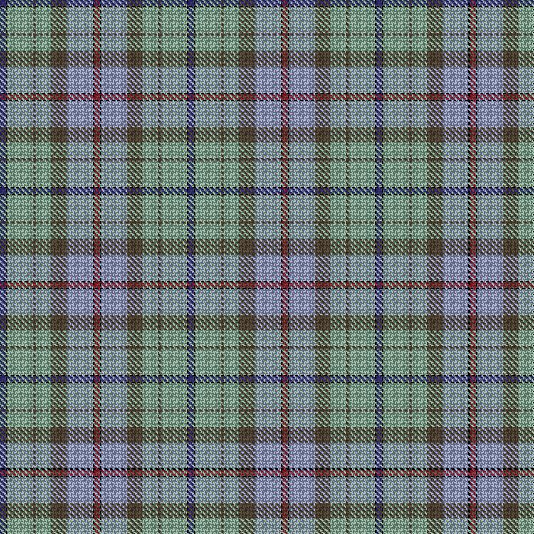 Tartan image: Morgan in Maryland (USA). Click on this image to see a more detailed version.