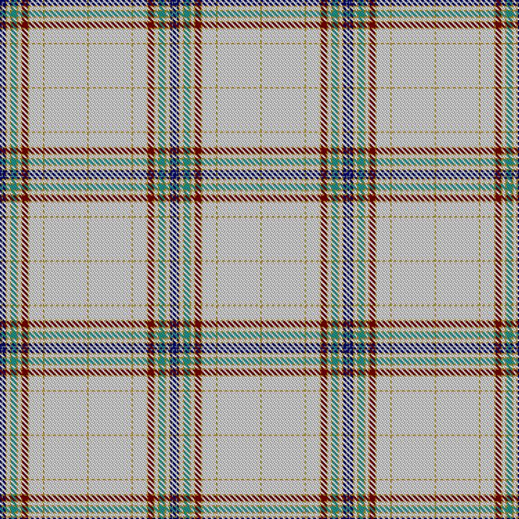 Tartan image: Druid. Click on this image to see a more detailed version.