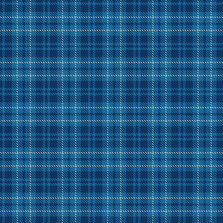 Tartan image: Langdons. Click on this image to see a more detailed version.