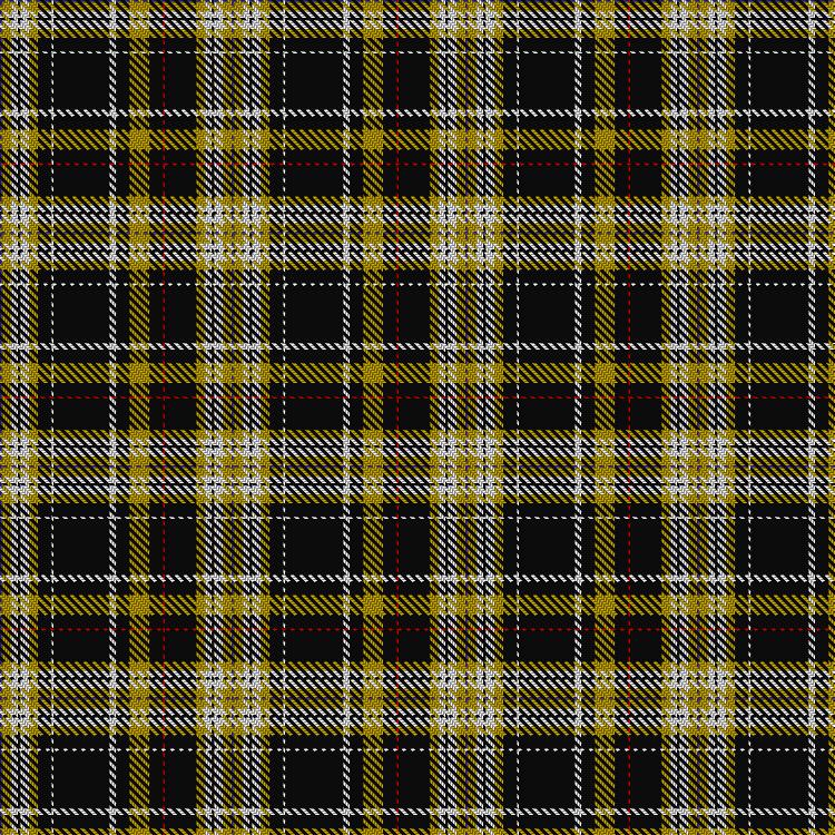 Tartan image: Mizzou Plaid. Click on this image to see a more detailed version.