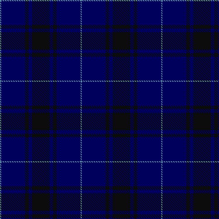 Tartan image: Williams (New York) (Personal). Click on this image to see a more detailed version.
