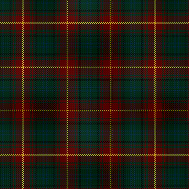 Tartan image: Lowland Donnelly (Personal). Click on this image to see a more detailed version.
