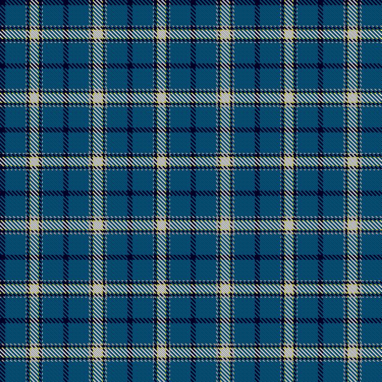 Tartan image: Herriot New Zealand. Click on this image to see a more detailed version.
