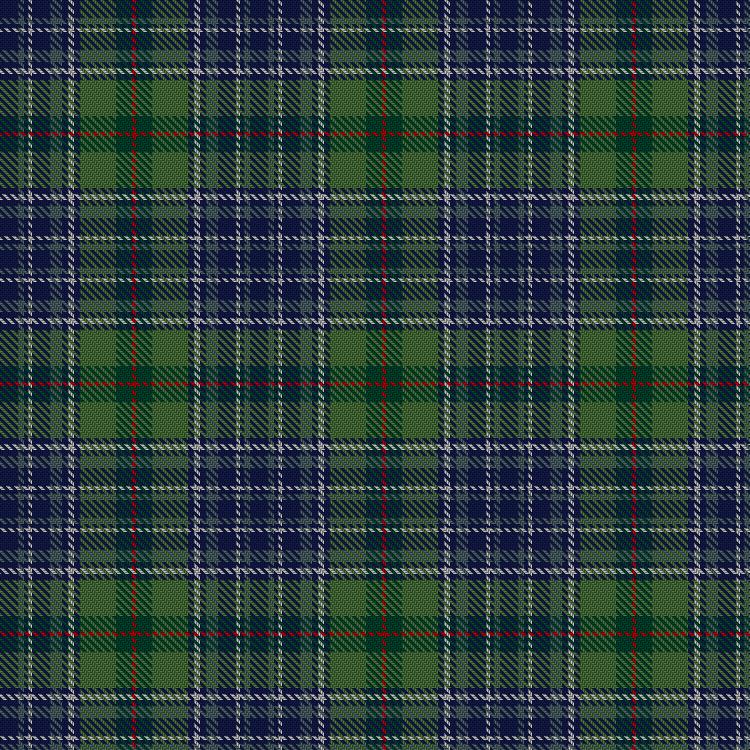 Tartan image: Patterson, William John Magee (Personal). Click on this image to see a more detailed version.