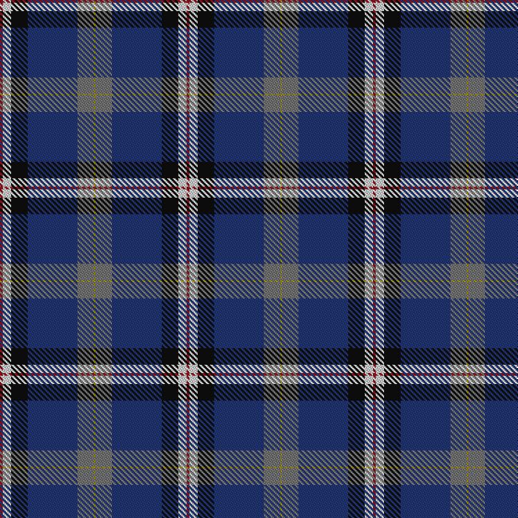 Tartan image: Alan Stone Family (Personal). Click on this image to see a more detailed version.