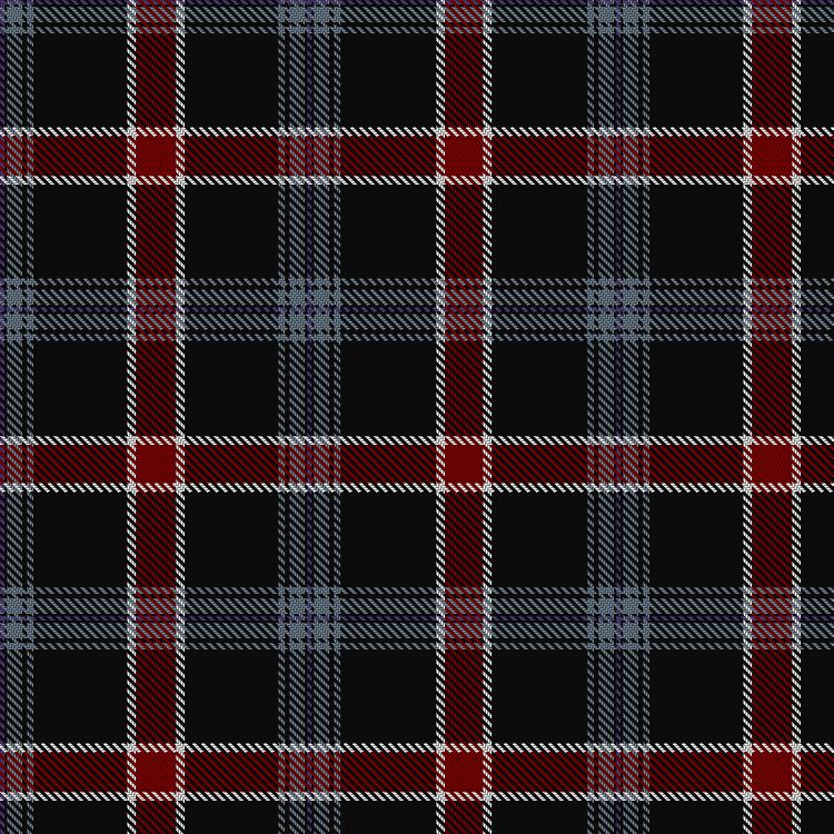 Tartan image: 'Clan' MacEvil. Click on this image to see a more detailed version.