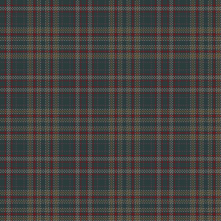 Tartan image: Delmarva. Click on this image to see a more detailed version.