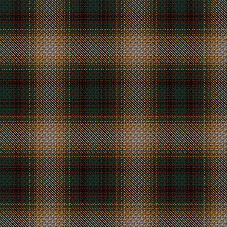 Tartan image: Spice of Life. Click on this image to see a more detailed version.