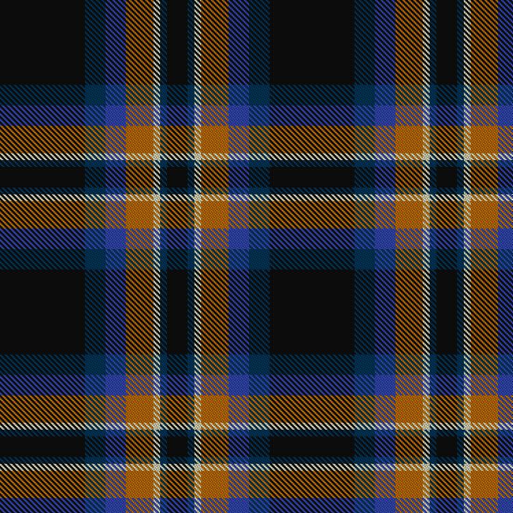 Tartan image: Black Raven. Click on this image to see a more detailed version.