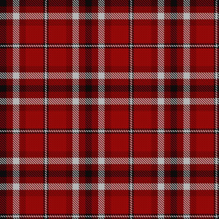 Tartan image: Swallow (Personal). Click on this image to see a more detailed version.