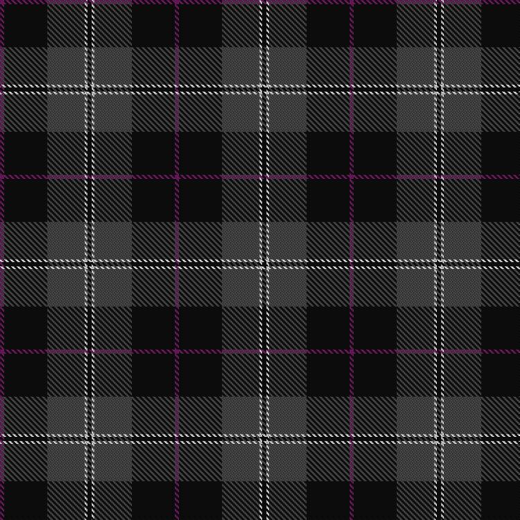 Tartan image: Kelley Oliphint. Click on this image to see a more detailed version.