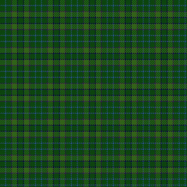 Tartan image: Blackwood (Loch Wood). Click on this image to see a more detailed version.