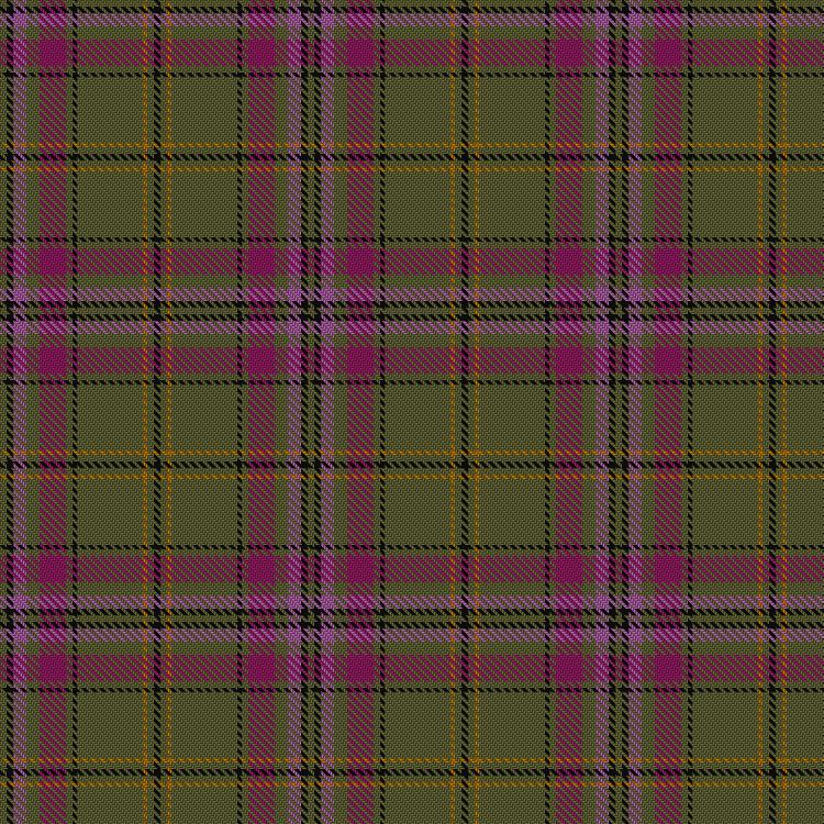 Tartan image: McAlifyfe (Personal). Click on this image to see a more detailed version.