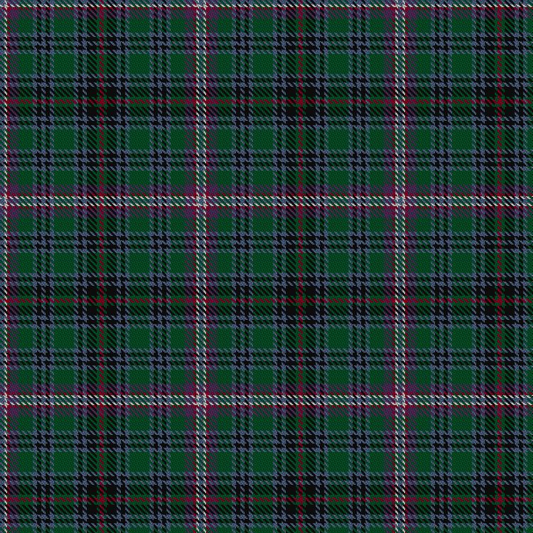 Tartan image: Lee Cox (Personal). Click on this image to see a more detailed version.