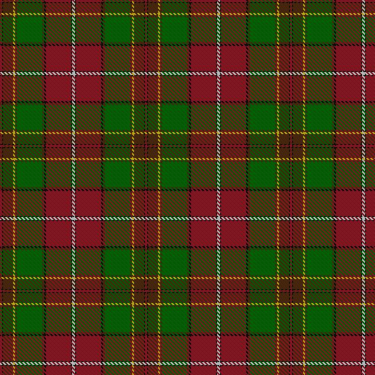 Tartan image: Bicknell, The Hamish (Personal). Click on this image to see a more detailed version.