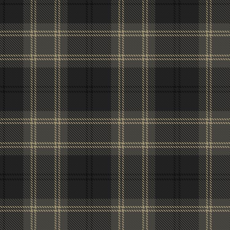 Tartan image: Dama Classic. Click on this image to see a more detailed version.