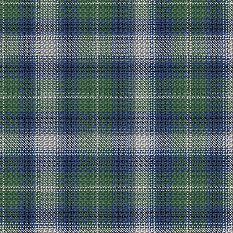 Tartan image: Oliphant Dress. Click on this image to see a more detailed version.