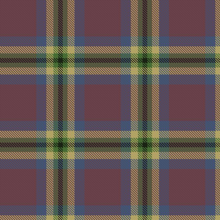 Tartan image: Dundhuin Dress (Personal). Click on this image to see a more detailed version.