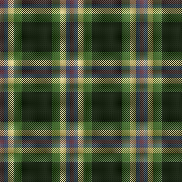 Tartan image: Dundhuin Hunting (Personal). Click on this image to see a more detailed version.