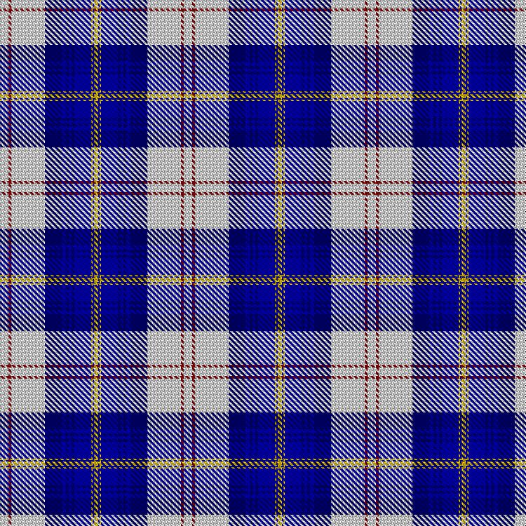 Tartan image: Payeur, François (Personal). Click on this image to see a more detailed version.