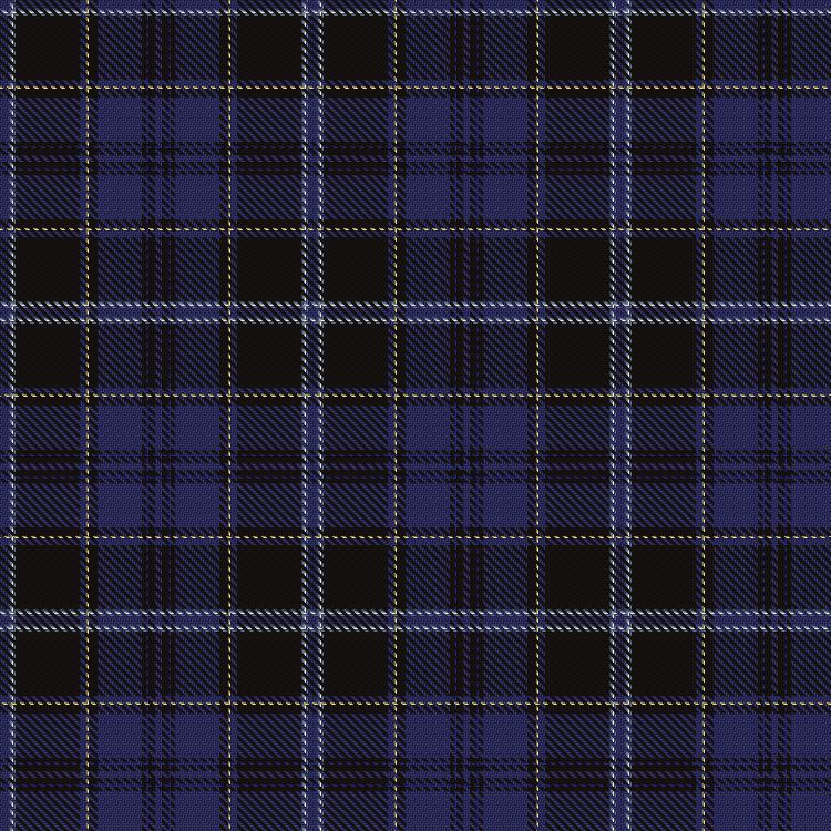 Tartan image: Silverton Family (Basingstoke). Click on this image to see a more detailed version.