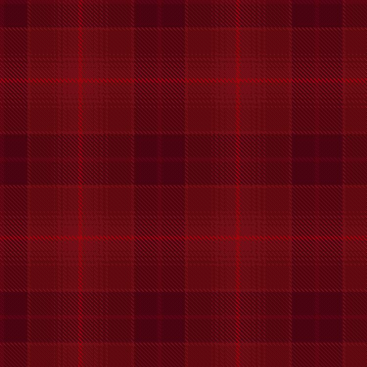 Tartan image: Ferguson Red, George (Architect). Click on this image to see a more detailed version.