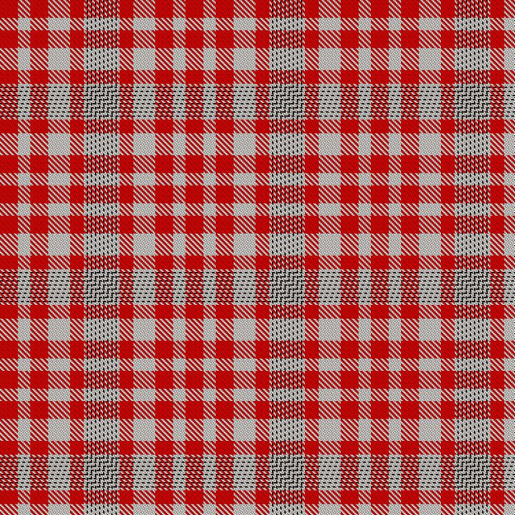 Tartan image: d'Andeville, Xavier (Personal). Click on this image to see a more detailed version.