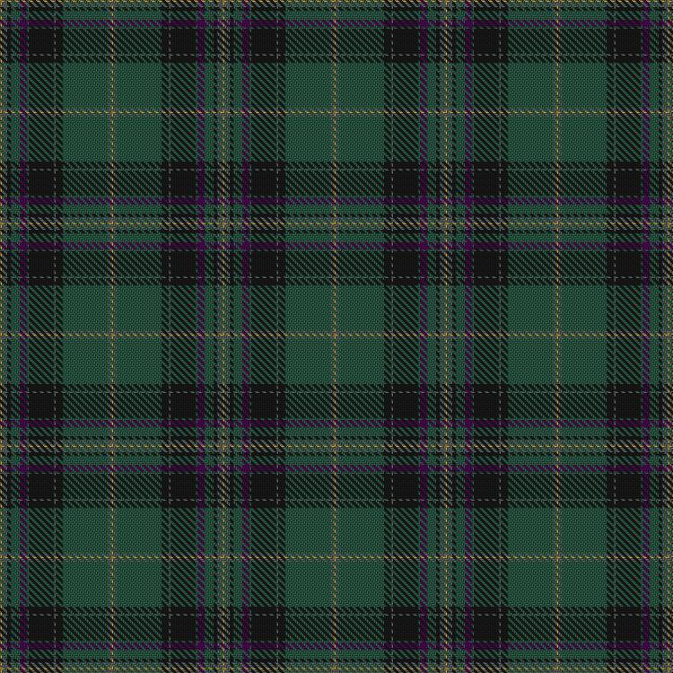 Tartan image: Walker, Gauvin (Personal). Click on this image to see a more detailed version.