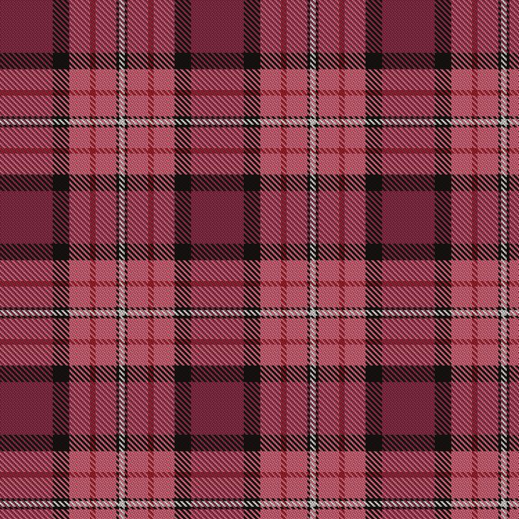 Tartan image: Ferguson's Promise. Click on this image to see a more detailed version.