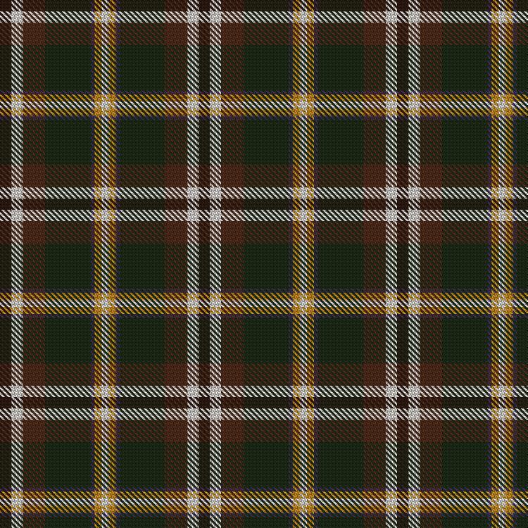 Tartan image: Mellor, Phillip (Oldham). Click on this image to see a more detailed version.